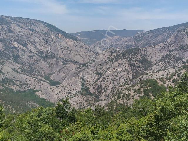 Tavşanli içerisinde satılık Köy evi