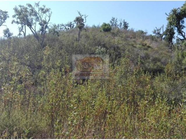Terreno venda em Sines, Setúbal