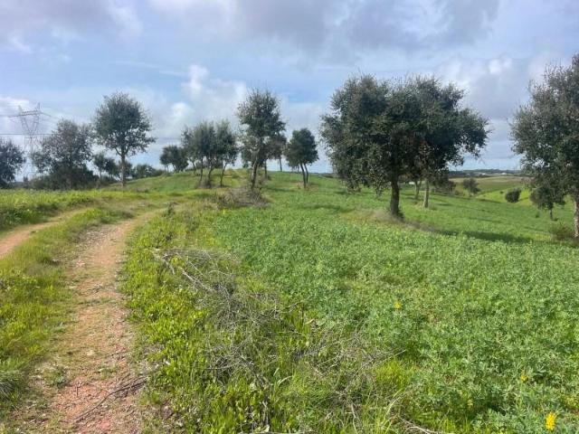Terreno venda em Sines, Setúbal