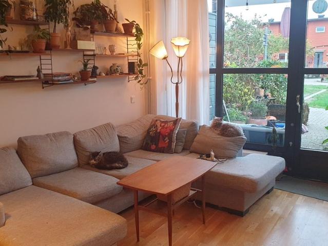 Rum hyra i Norr, Malmö