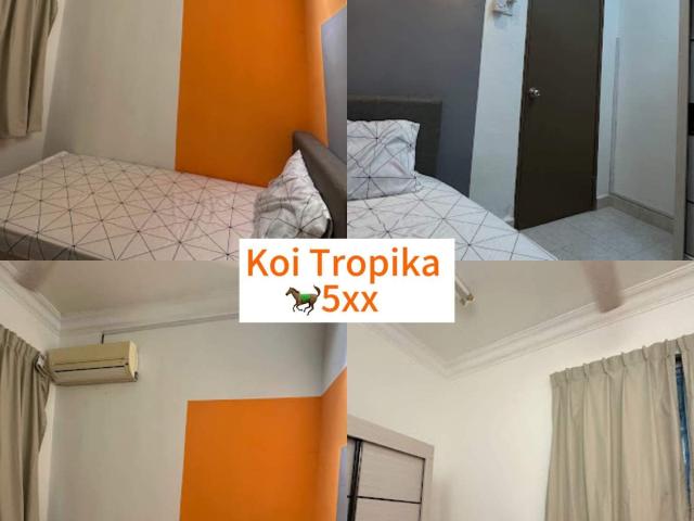 Room for rent in Koi Tropika Condominium, Majlis Bandaraya Subang Jaya