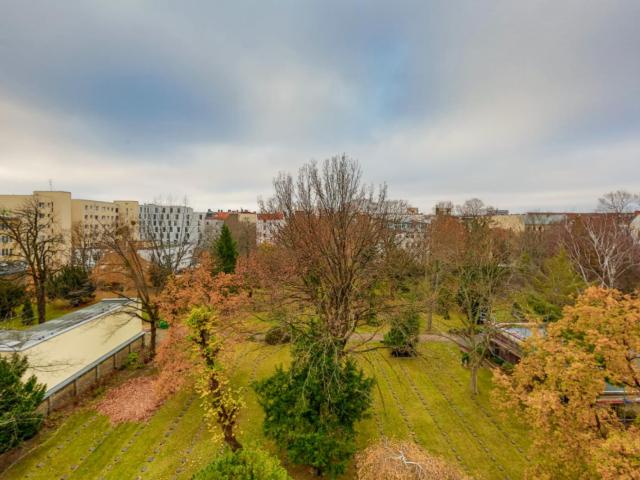 Apartment mieten in Wedding, Berlin