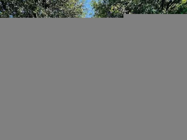 House for rent in Midland