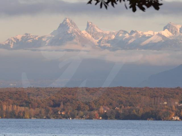Einfamilienhaus kaufen in Cologny