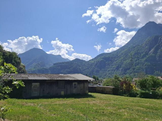 Einfamilienhaus kaufen