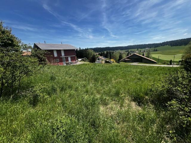 Einfamilienhaus kaufen in La Brévine