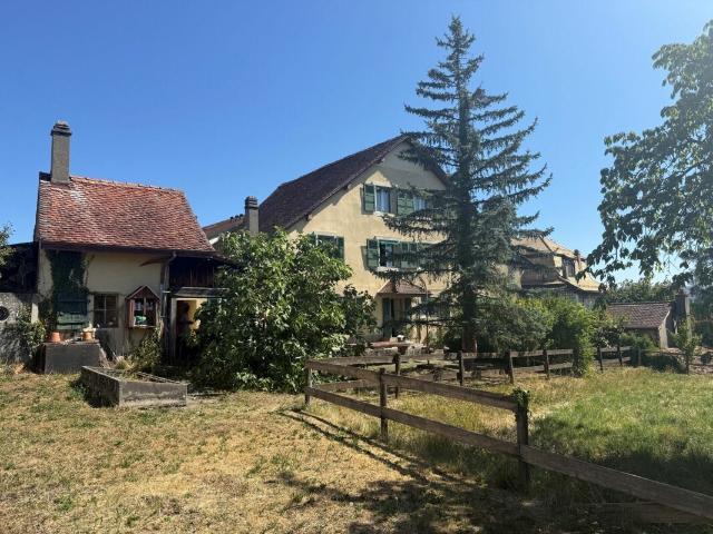 Einfamilienhaus kaufen