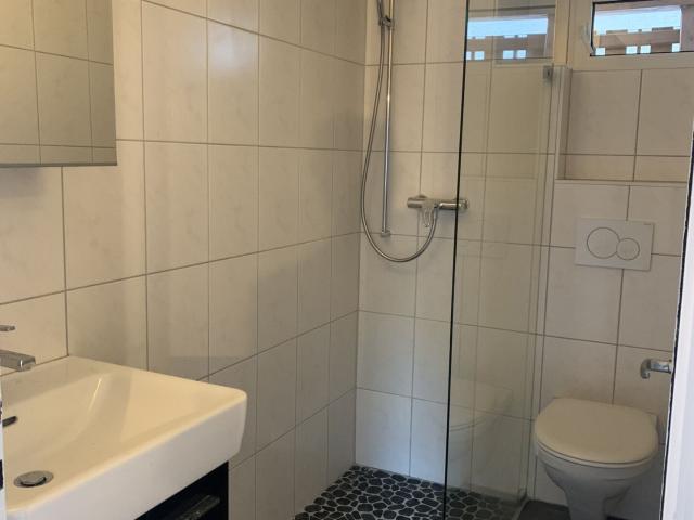 Einfamilienhaus kaufen in Dugny, Leytron, Wallis