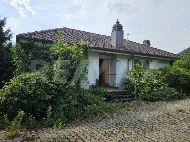 Einfamilienhaus kaufen