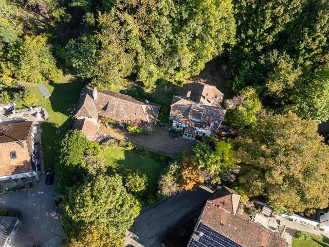 Einfamilienhaus kaufen