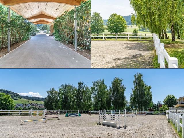 Einfamilienhaus kaufen in Busswil (TG), Thurgau