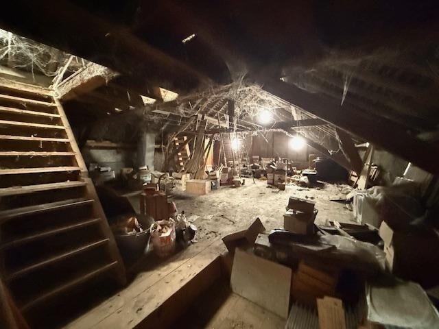 Einfamilienhaus kaufen