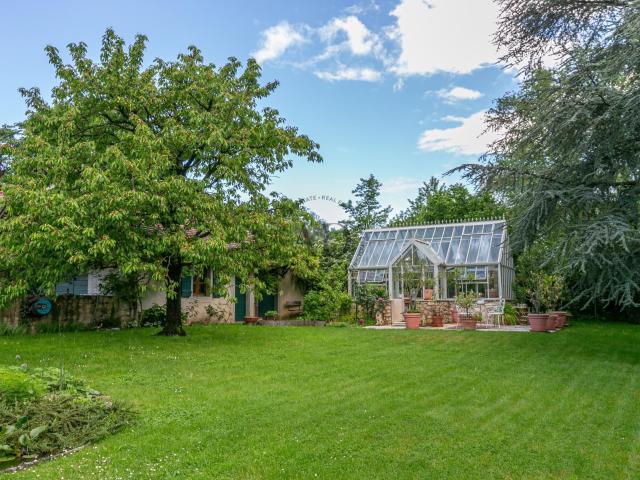 Einfamilienhaus kaufen