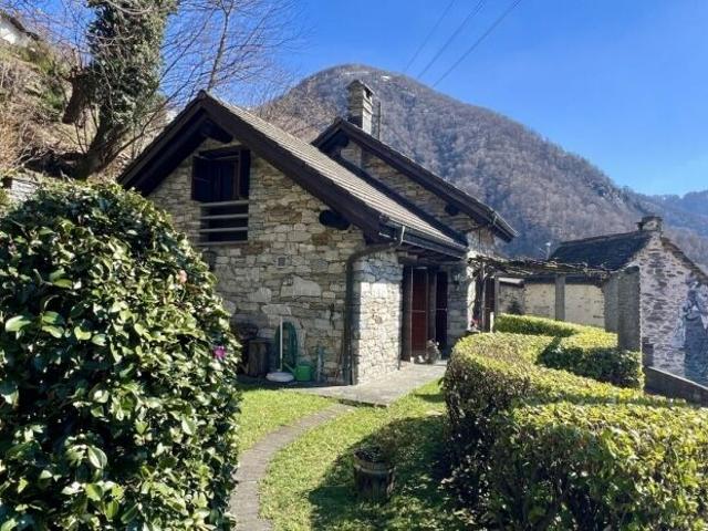 Einfamilienhaus kaufen