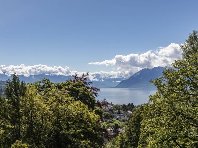 Einfamilienhaus kaufen in Cheseaux-Lausanne, Waadt