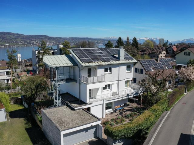 Einfamilienhaus kaufen in Horgen, Zürich