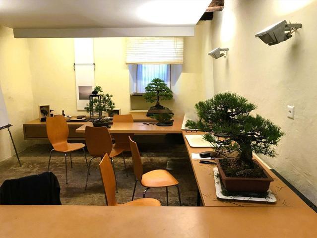 Einfamilienhaus kaufen in Caslano, Tessin