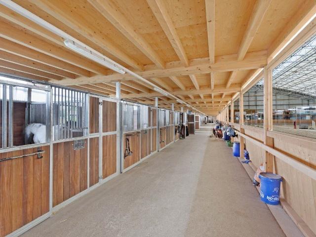 Einfamilienhaus kaufen in Yverdon-les-Bains, District du Jura-Nord vaudois