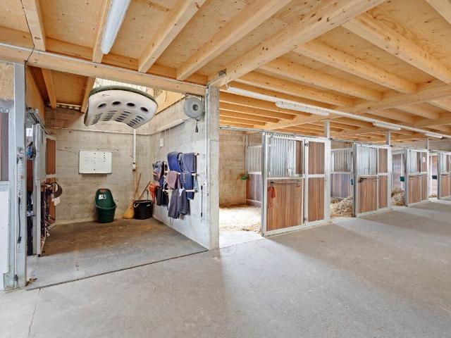 Einfamilienhaus kaufen in Belmont-Yverdon, Waadt
