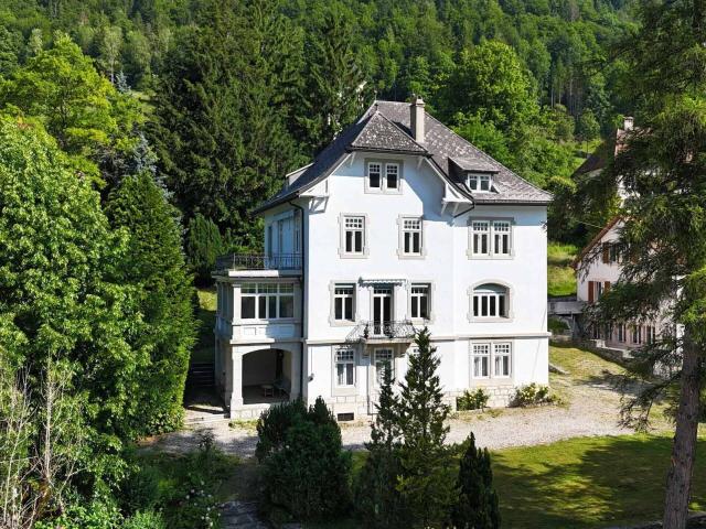 Einfamilienhaus kaufen