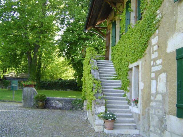 Einfamilienhaus kaufen
