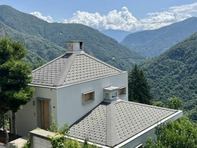 Einfamilienhaus kaufen