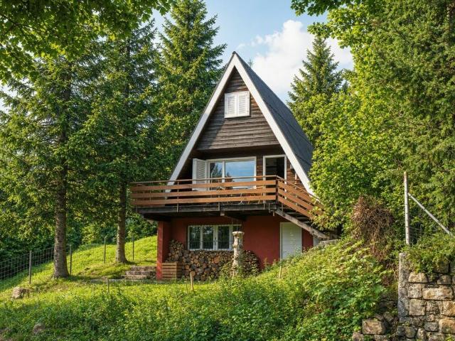 Einfamilienhaus kaufen in Alpthal, Schwyz