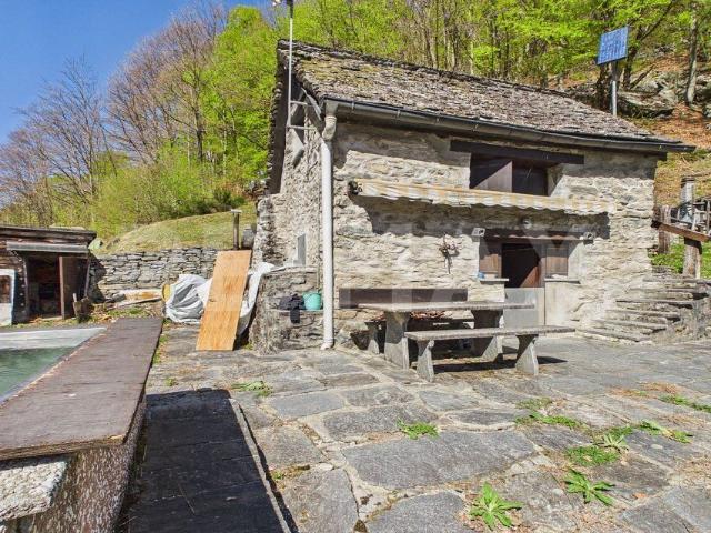 Einfamilienhaus kaufen