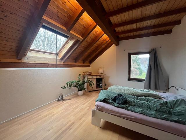 Einfamilienhaus kaufen