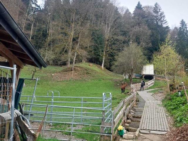Einfamilienhaus kaufen