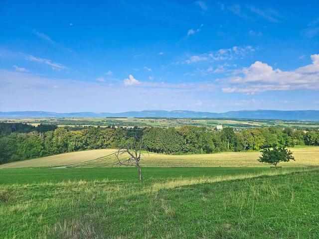 Einfamilienhaus kaufen in Boulens, District du Gros-de-Vaud