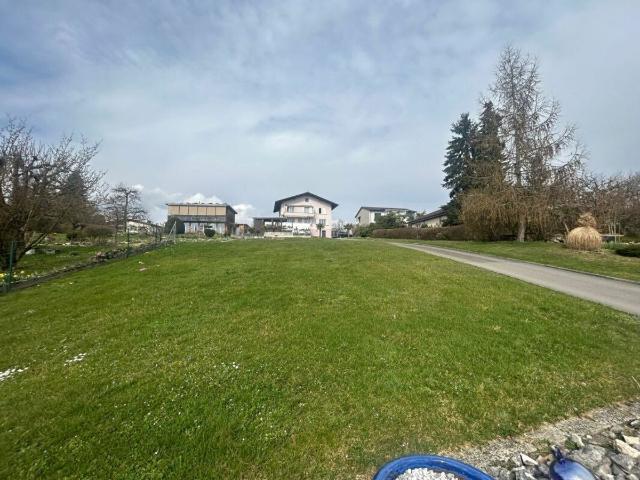 Einfamilienhaus kaufen