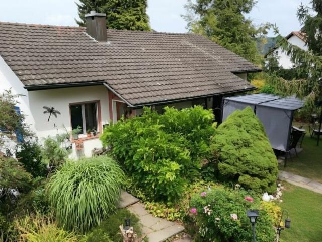 Einfamilienhaus kaufen
