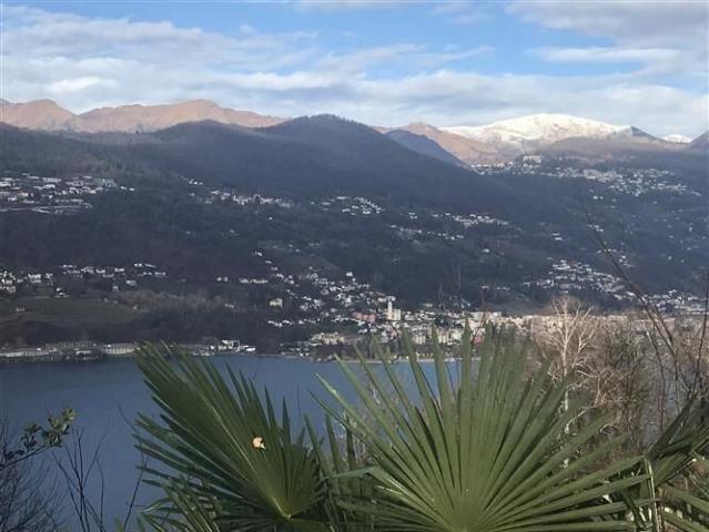 Einfamilienhaus kaufen in Collina d'Oro, Tessin