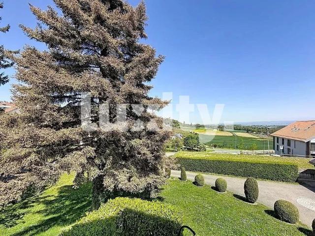 Einfamilienhaus kaufen