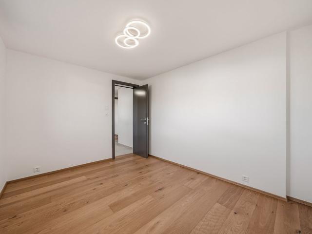 Einfamilienhaus kaufen