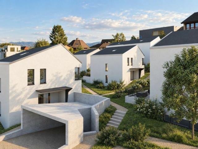 Einfamilienhaus kaufen in Blauen, Basel-Landschaft