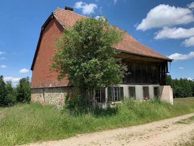 Einfamilienhaus kaufen