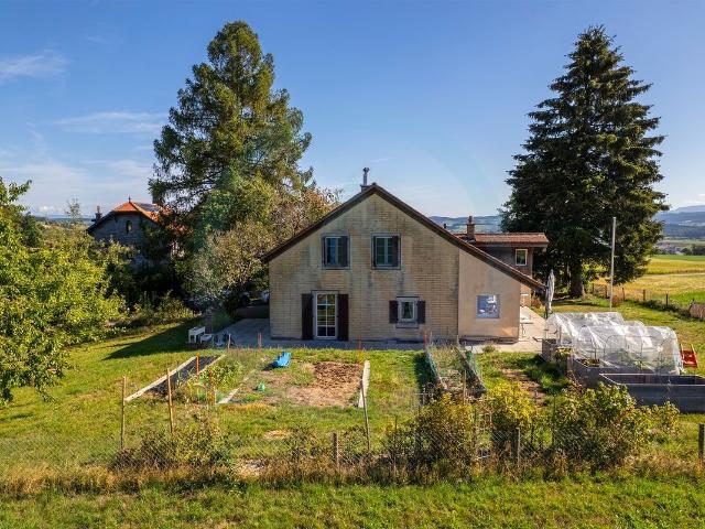 Einfamilienhaus kaufen