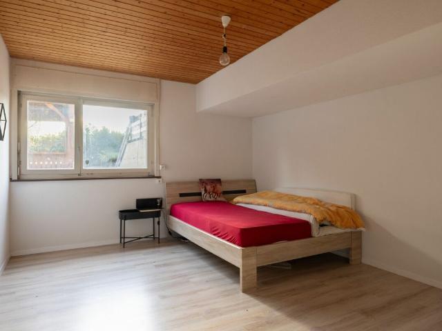 Einfamilienhaus kaufen