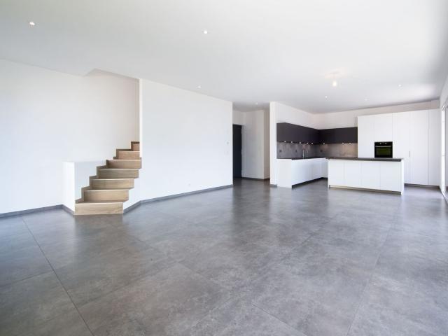 Einfamilienhaus kaufen