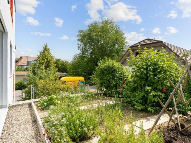 Einfamilienhaus kaufen in Erlinsbach (AG), Solothurn