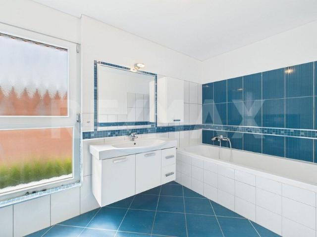 Einfamilienhaus kaufen