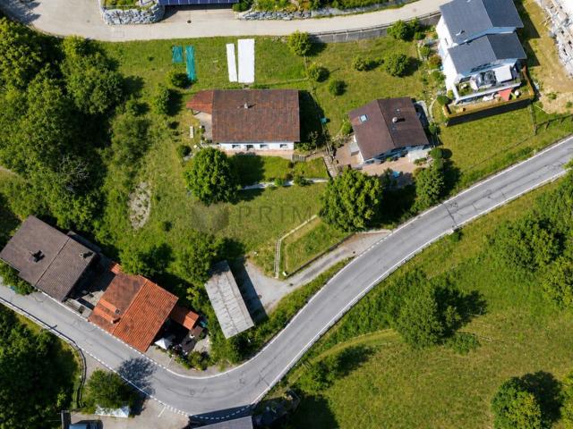 Einfamilienhaus kaufen