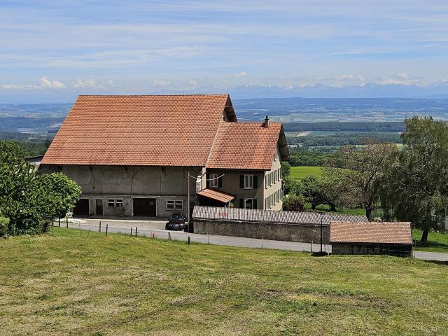 Einfamilienhaus kaufen