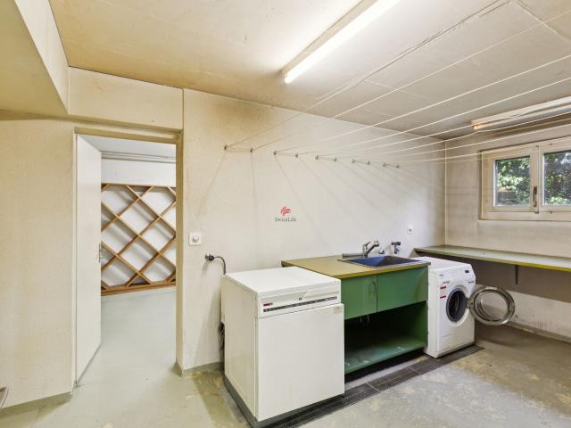 Einfamilienhaus kaufen in Riniken, Aargau
