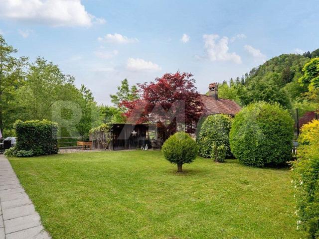 Einfamilienhaus kaufen