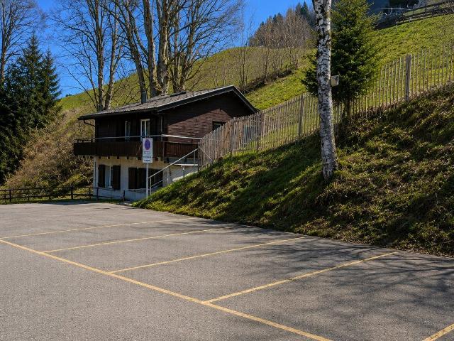 Einfamilienhaus kaufen in Flums, St. Gallen