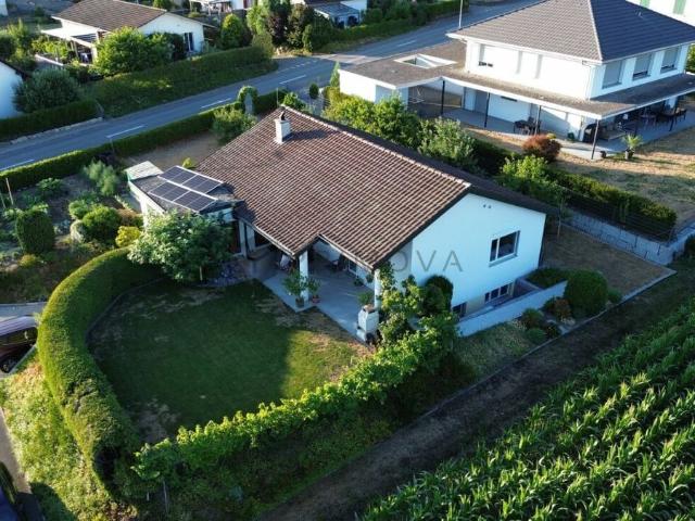 Einfamilienhaus kaufen
