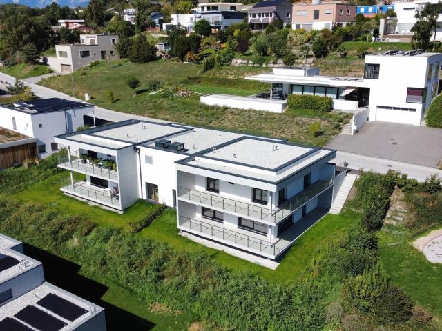 Einfamilienhaus kaufen